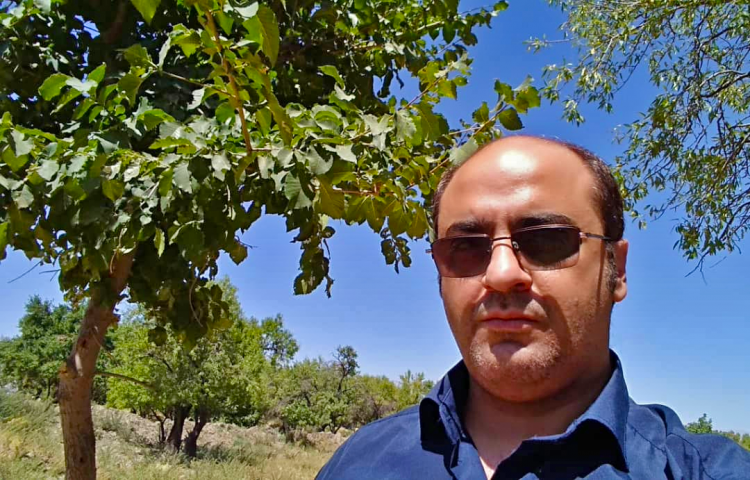 قطع دست‌های تخریب‌گر درختان کهن قزوین