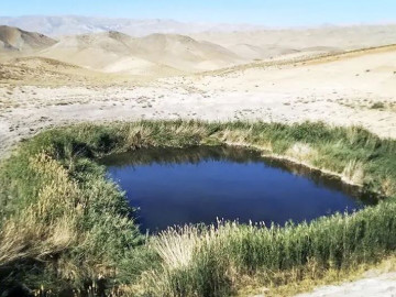 سی‌سر تنها نیست!