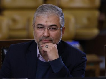 لزوم تدوین قانون جامع برای ساماندهی سگ‌های ولگرد