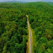 درخواست  از ریاست قوه قضائیه برای ورود به پرونده ۵۶۰۰ هکتاری جنگل‌های مازندران