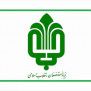#بازار_شفاف