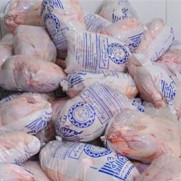 پویش اعتراض به قیمت گوشت مرغ