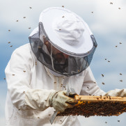 درخواست تصویب بیمه تأمین اجتماعی زنبورداران کشور در لایحه بودجه ۱۴۰۰