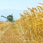 اعتراض دانشجویان اقتصاد کشاورزی سراسر ایران به حذف عنوان «مهندسی» از رشته اقتصاد کشاورزی