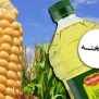 #ممنوعیت_واردات_محصولات_تراریخته