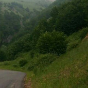 درخواست جلوگیری از قطع درختان کهنسال و چند صد ساله امامزاده صالح روستای براگور استان گیلان