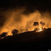 مطالبه بسیج امکانات کشور برای مهار آتش‌سوزی جنگل‌های استان گلستان