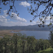 درخواست نجات دریاچه زریبار