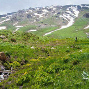 درخواست زیرسازی و آسفالت جاده ارتباطی منطقه چاسخار به چهل‌چشمه از توابع شهرستان چرام