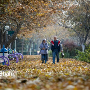 درخواست تجدیدنظر در مصوبه هیئت دولت درخصوص افزایش حقوق بازنشستگان تأمین اجتماعی