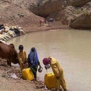 درخواست اقدام فوری برای جلوگیری از غرق شدن کودکان در هوتک های بلوچستان