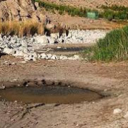درخواست جلوگیری از خشک شدن و نابودی زیست بوم تالابهای استان کرمانشاه