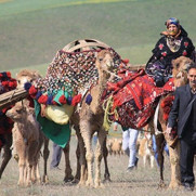 درخواست توجه به همسان‌سازی بازنشستگان عشایر