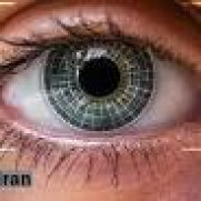 درخواست استقلال وزارت اطلاعات از دولت (تشکیل سازمان اطلاعات و امنیت جمهوری اسلامی ایران= ساواجا)