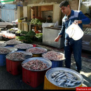 درخواست نظارت بر توزیع و خرید و فروش مواد غذایی حلال و غیر حلال در مراکز فروش و رستوران‌های استان خوزستان