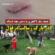 درخواست فوری برای تصویب قانون محافظت از جان شهروندان در برابر سگ‌های رها
