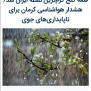 #پایان_قطعی_برق_جنوب‌_کرمان