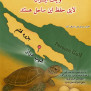 #منطقه_آزاد_قشم