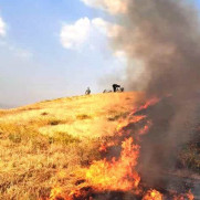 اعتراض به سوزاندن طبیعت و محیط زیست و درخواست ممنوعیت آتش زدن بقایای محصولات کشاورزی