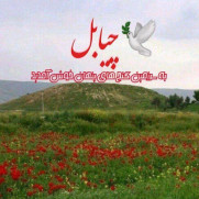 درخواست اعمال تعرفه برق گرمسیری برای رومشکان