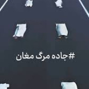 نه به جاده مرگ؛ درخواست رسیدگی فوری به وضعیت جاده مرگ‌بار مغان