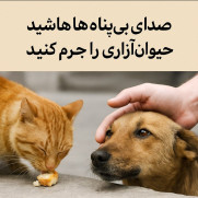 صدای بی‌پناه‌ها؛ حیوان‌آزاری را جرم کنید