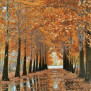 #جاده‌های_ايران_زيبا