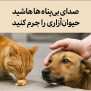 #حیوان‌آزاری_جرم_است
