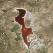 درخواست نجات دریاچه ارومیه