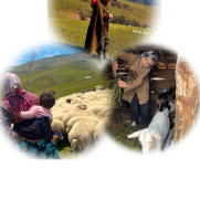 نه به حذف هویت عشایر