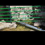 درخواست بازگشایی مسیر آب چشمه «اعلاء» دماوند برای کشاورزان و باغداران دماوند