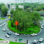 #درختان_میدان_تجریش