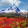 #سبلان_هویت_ایران