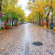 حمایت از سنگ‌فرش مسیر خودرویی خیابان طالقانی شهر دلیجان