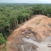 درخواست تصویب قانون ممنوعیت ساخت و ساز در بخش‌های آسیب‌دیده جنگل‌ها و بازکاشت مجدد درختان بومی در هر بخش آسیب‌دیده