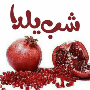 درخواست تعطیلی رسمی یکم دی‌ماه به مناسبت پاسداشت شب یلدا و خانواده ایرانی