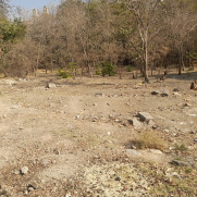 درخواست آبیاری درختان باغ بزرگ اوقافی، خیابان آرش در محله ازگل