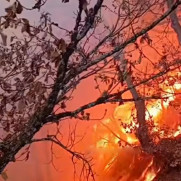 هیرکانی می‌سوزد؛ ایلوشن را برسانید