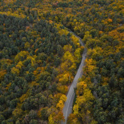 درخواست تجهیزات از سازمان یونسکو برای جنگل‌های هیرکانی