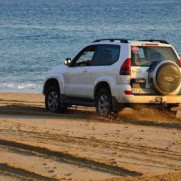 درخواست صیانت از سواحل کشور در برابر تخریب گردشگران