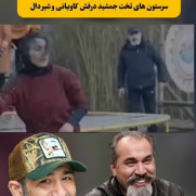 درخواست آغاز رسیدگی قضایی به اقدام توهین‌آمیز نسبت به نمادهای تاریخی ایران