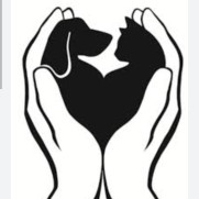 درخواست تشکیل ستاد یا ارگان دولتی برای حمایت از حیوانات بی‌سرپرست