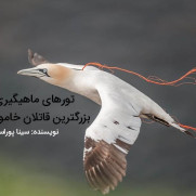 درخواست ممنوعیت تولید و فروش تورهای کوچک رودخانه‌ای جهت جلوگیری از صید مخرب و حفاظت از ماهیان بومی ایران