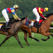 درخواست فوری برای حمایت و احیای صنعت اسبدوانی عرب کشور