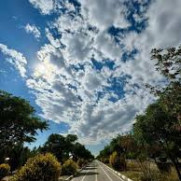 درخواست اعلان برنامه پنج‌ساله برای از بین بردن آلودگی هوای کلان‌شهرها