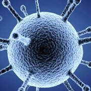 درخواست غیرحضوری شدن مدارس هرمزگان