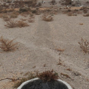 درخواست نجات قنات یزدآباد شهرابریشم