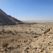 درخواست جلوگیری از واگذاری‌های غیرقانونی اراضی ملی شهرستان گراش