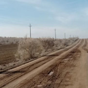 درخواست تکمیل و آسفالت راه ارتباطی بخش شامکان به مرکز شهرستان، و احداث راه ارتباطی دهستان ربع شامات به شامکان