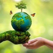 درخواست ساماندهی و نظارت مؤثر بر تورهای طبیعت‌گردی برای جلوگیری از تخریب محیط‌زیست